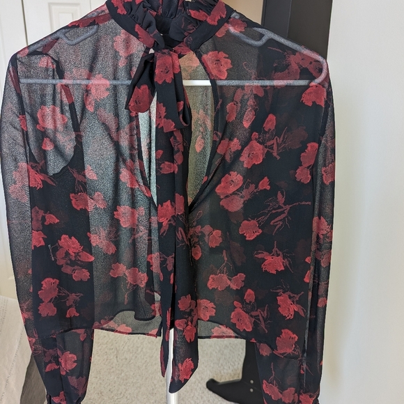 Zara Sheer Blouse With Bow - Picture 3 of 7